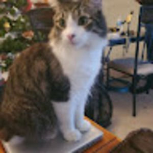 Meet your Posher, Meredith